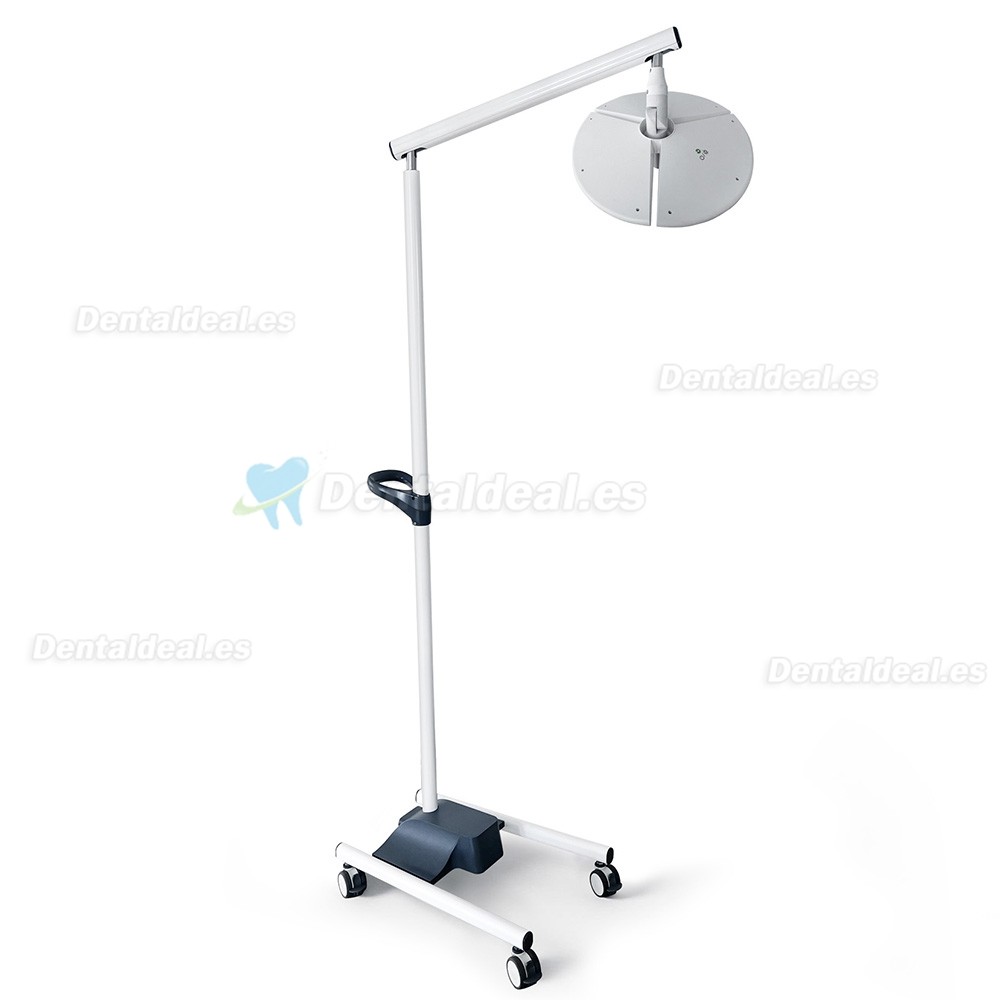 KWS KD-2036L-4 L&aacute;mpara Dental LED M&oacute;vil de Pie 80W con 4 Ruedas